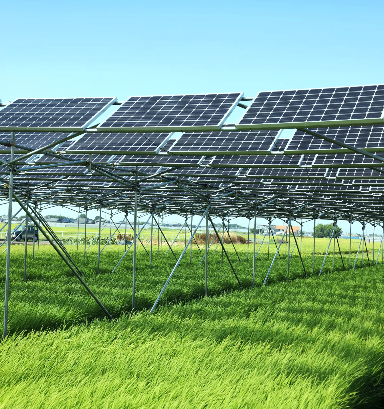 営農型太陽光発電