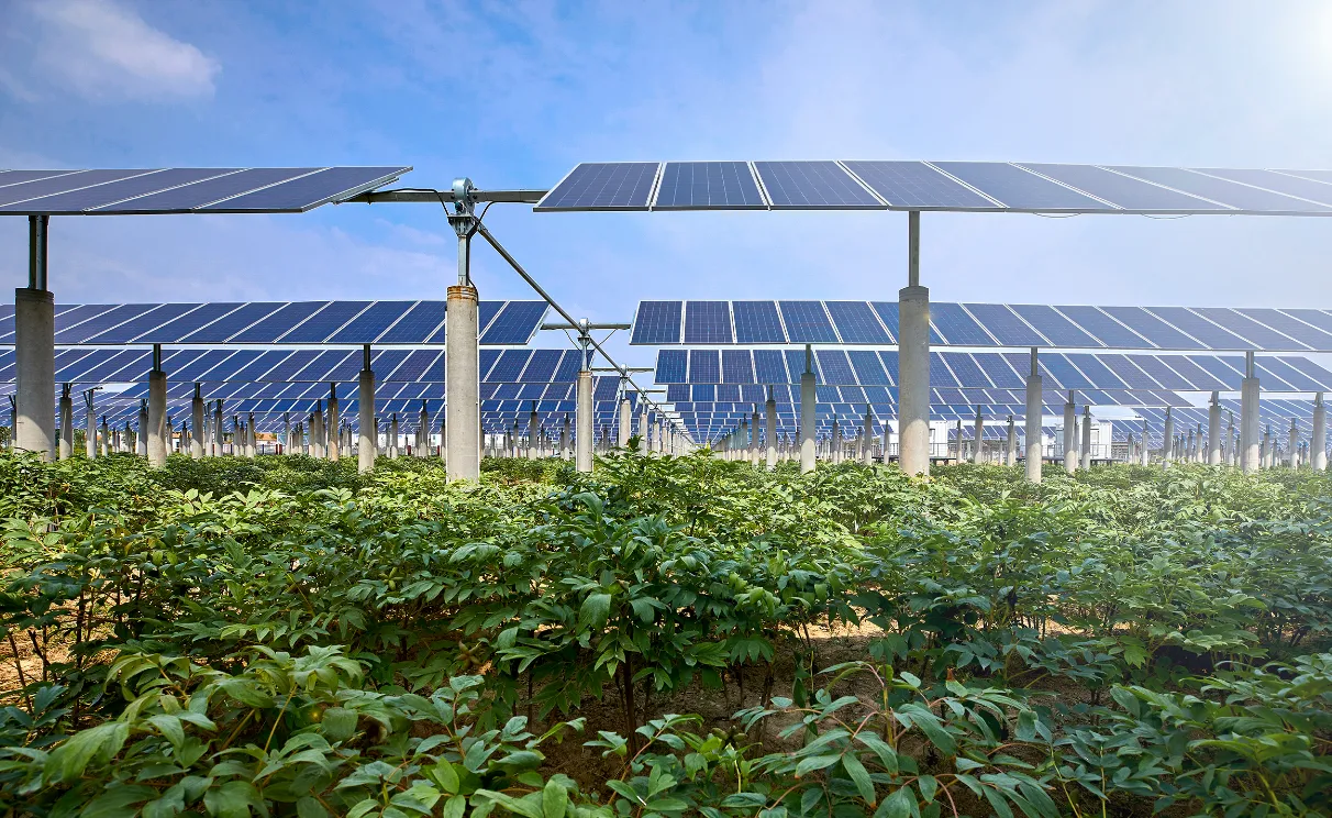 ソーラー農園シェアリングサービス