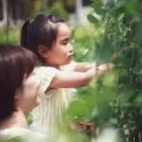 農業体験・食育