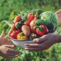 農作物<br>食品販売