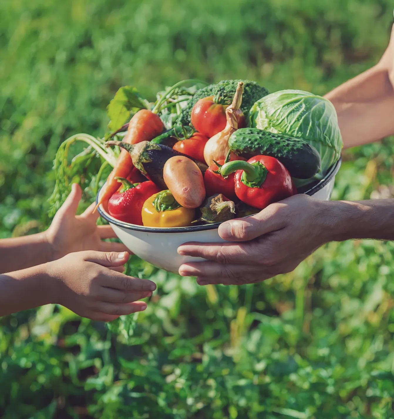 農作物・食品販売