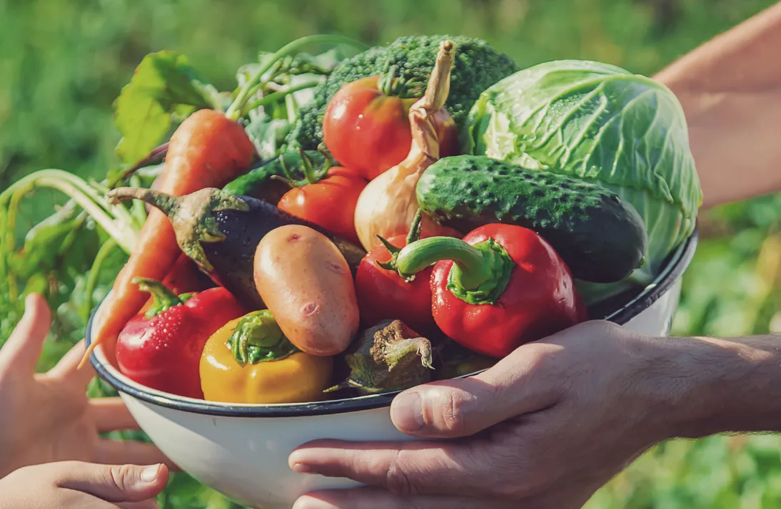 農作物・食品販売