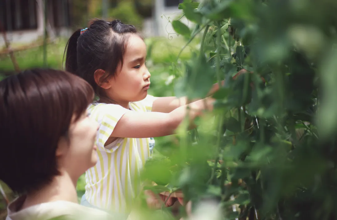 農業体験・教育