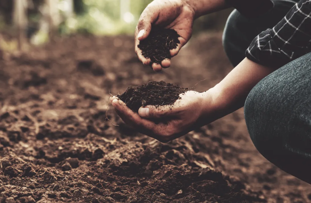 農業リサイクル