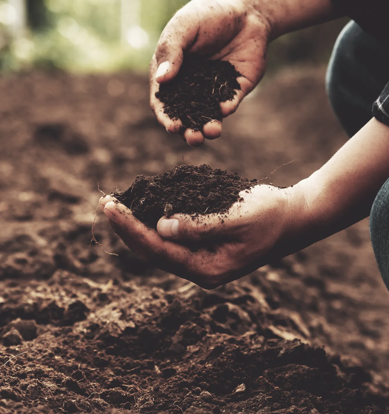 農業リサイクル
