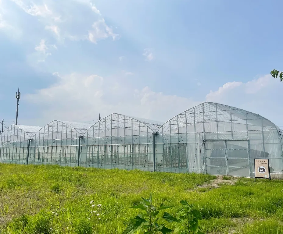 中栗須ハウス農園 写真