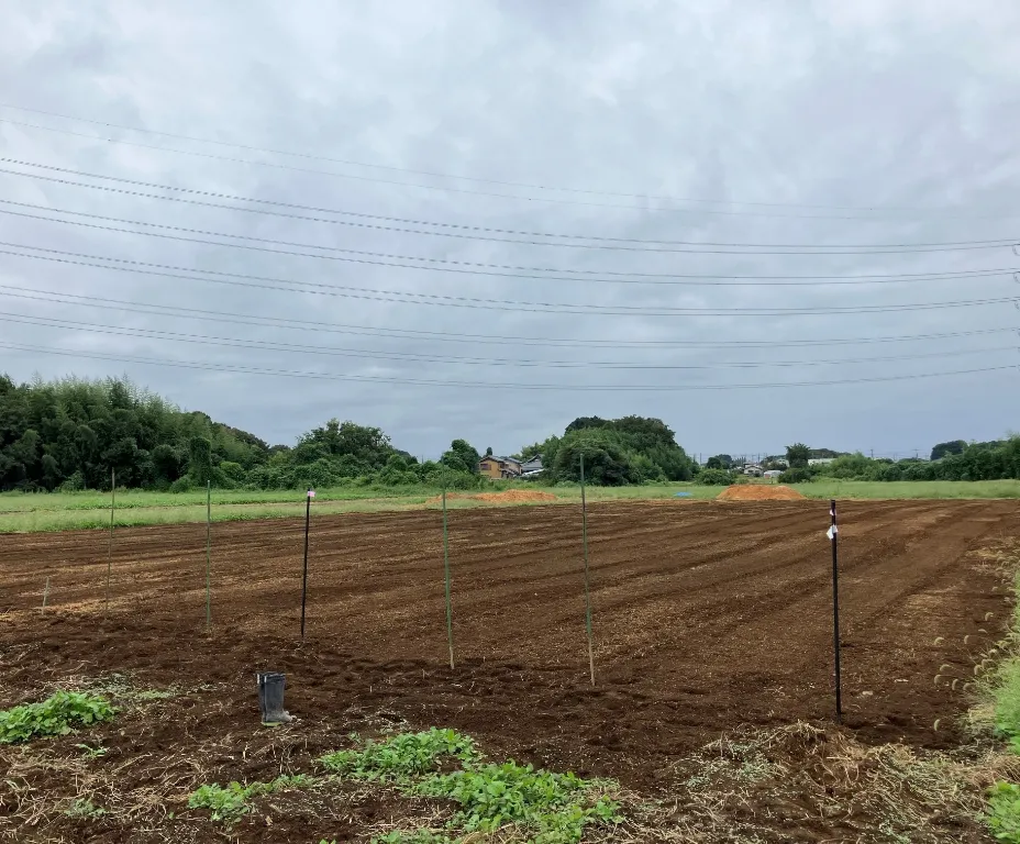 岩槻スマート農園 写真