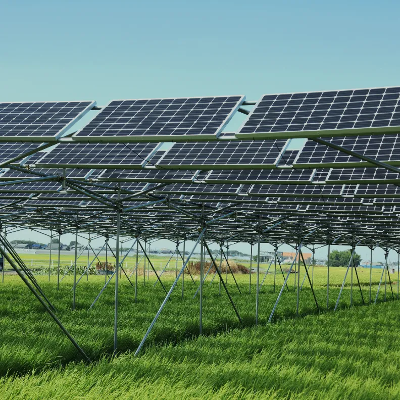 営農型太陽光発電<br>ソリューション