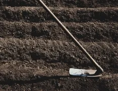 トップメッセージ