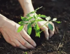 サステナビリティの<br>取り組み