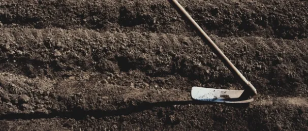 トップメッセージ