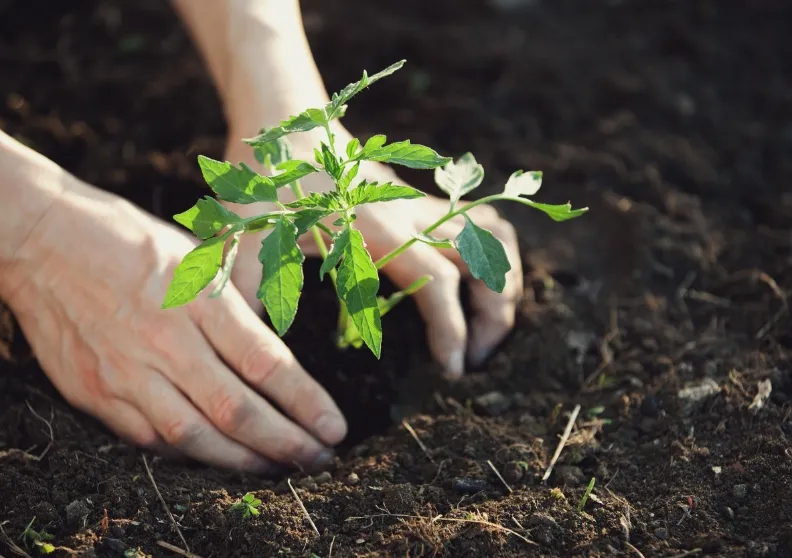 サステナビリティの取り組み