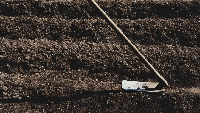 トップメッセージ