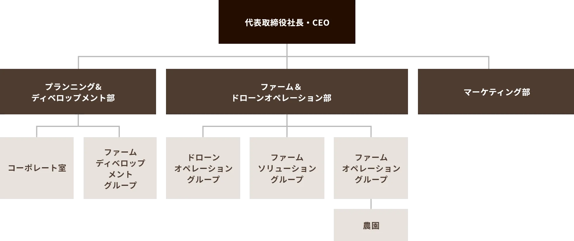 代表取締役社長を頂点とした組織図（プランニング＆ディベロップメント部、ファーム＆ドローンオペレーション部、マーケティング部）