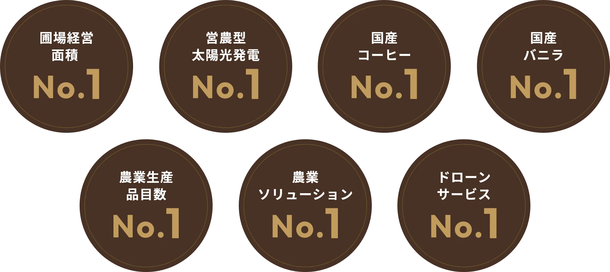 圃場経営面積、営農型太陽光発電、国産コーヒー、国産バニラ、農業生産品目数、農業ソリューションドローンサービスの7つの分野でNo.1を目指します