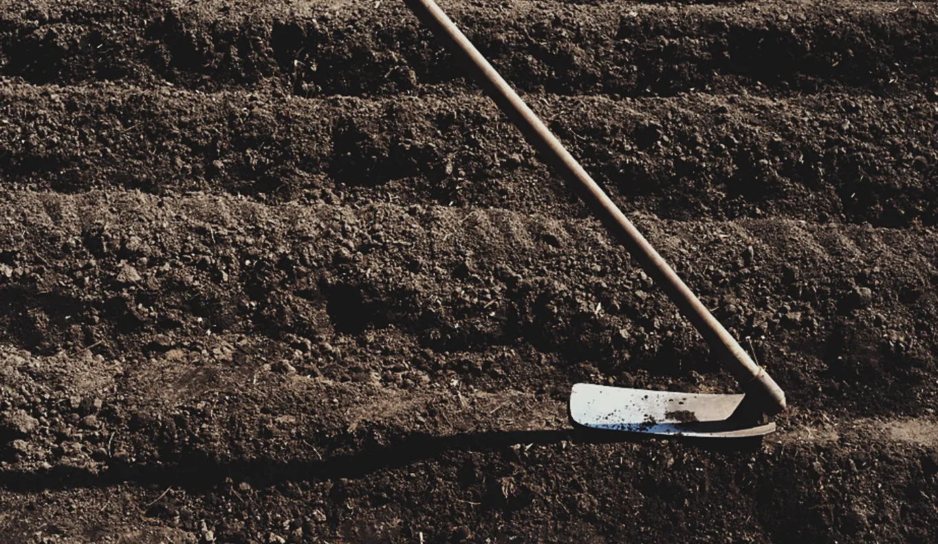 トップメッセージ