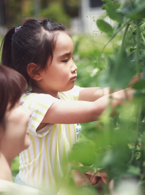 農業体験・食育