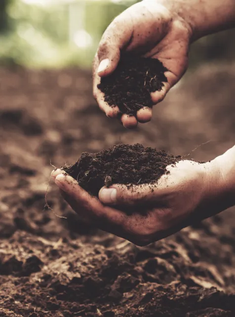 農業リサイクル