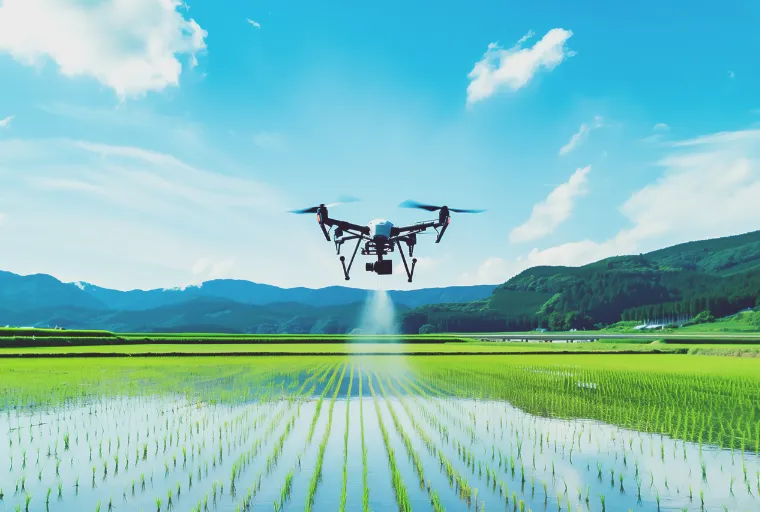 メッセージ3イメージ