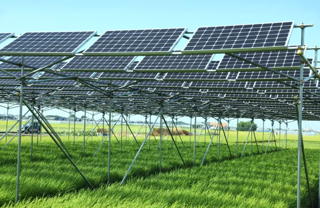 メッセージ4イメージ